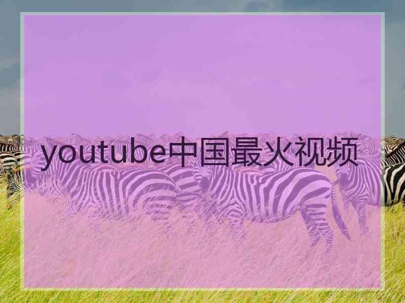 youtube中国最火视频