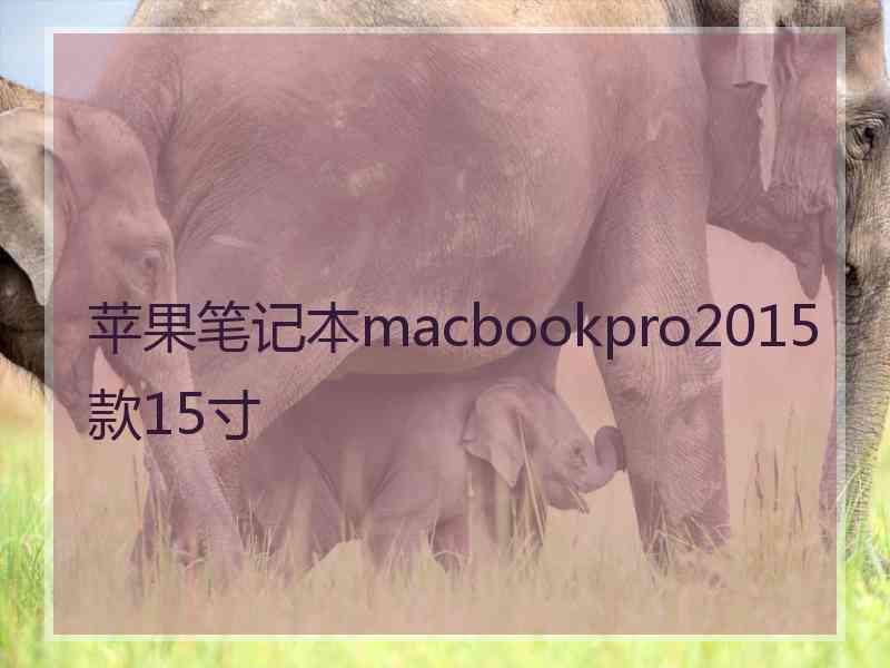 苹果笔记本macbookpro2015款15寸