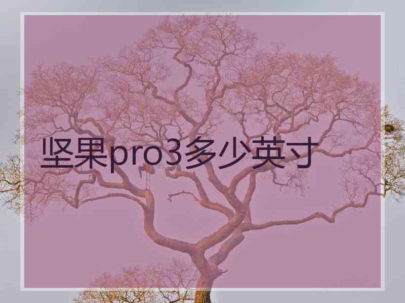 坚果pro3多少英寸