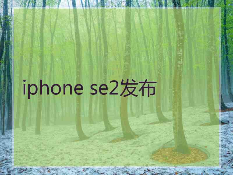 iphone se2发布