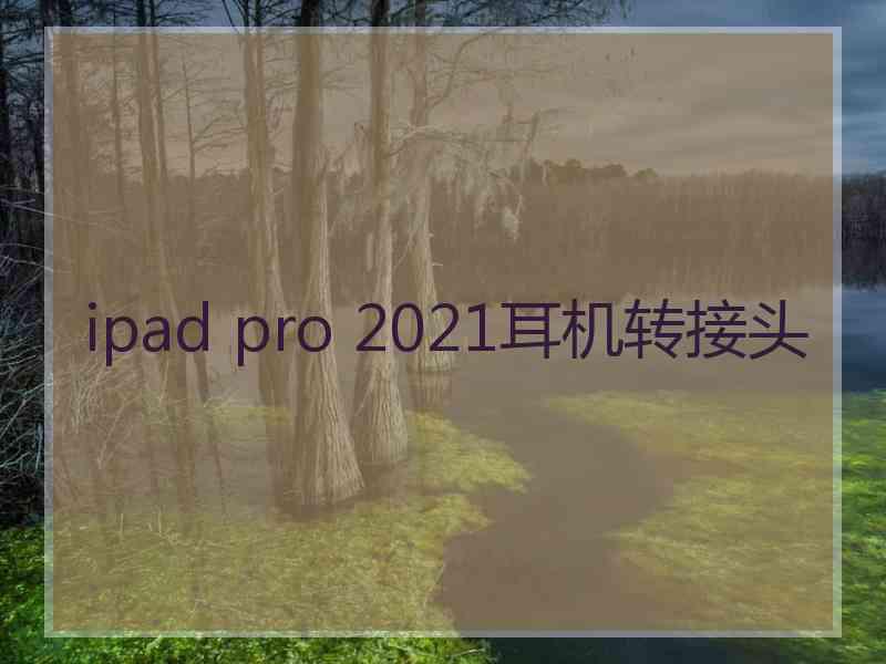 ipad pro 2021耳机转接头