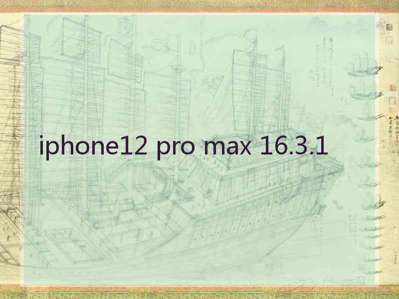 iphone12 pro max 16.3.1