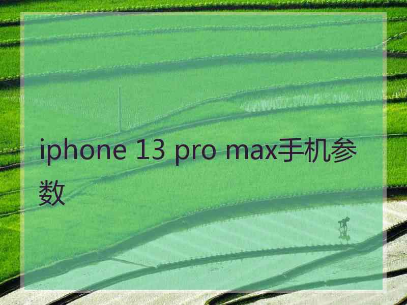 iphone 13 pro max手机参数