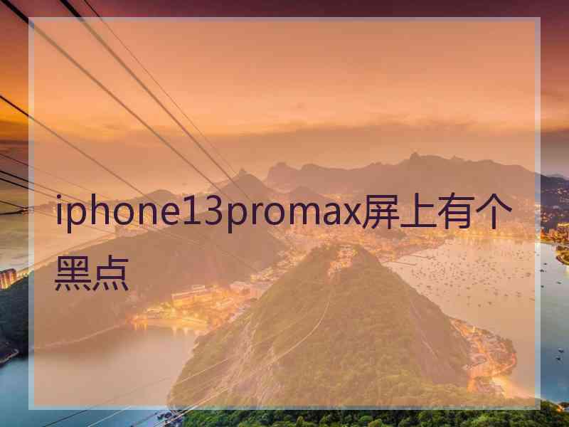 iphone13promax屏上有个黑点