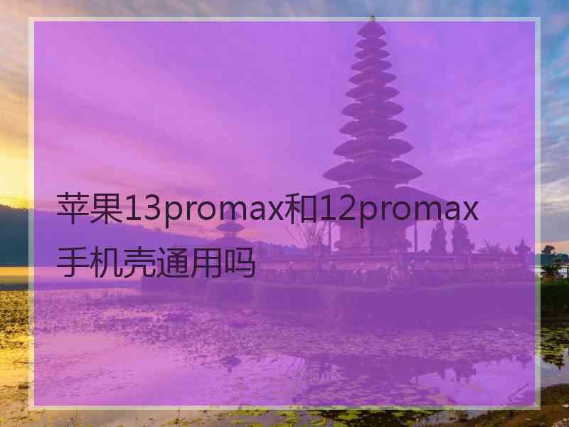 苹果13promax和12promax手机壳通用吗