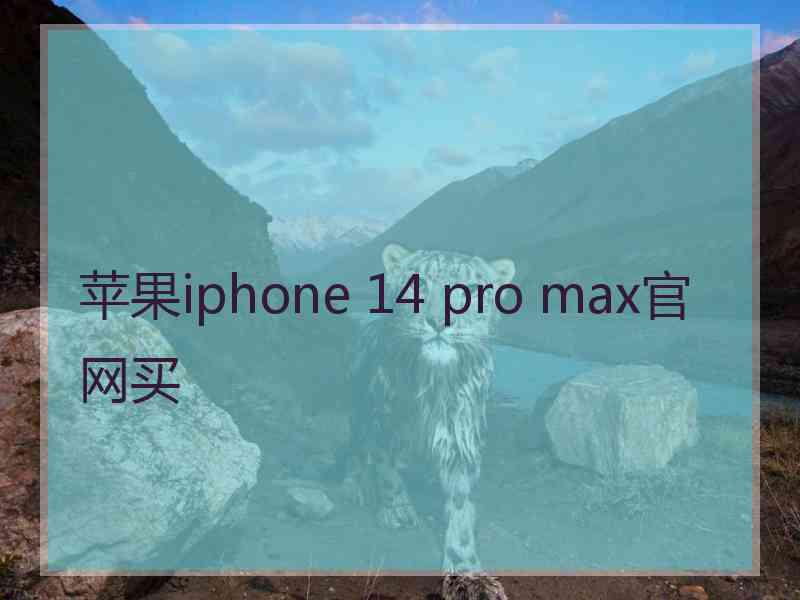 苹果iphone 14 pro max官网买