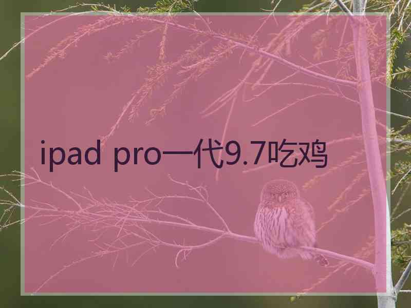 ipad pro一代9.7吃鸡