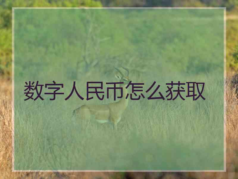 数字人民币怎么获取