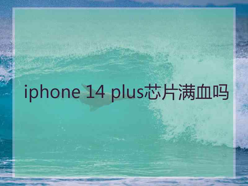 iphone 14 plus芯片满血吗