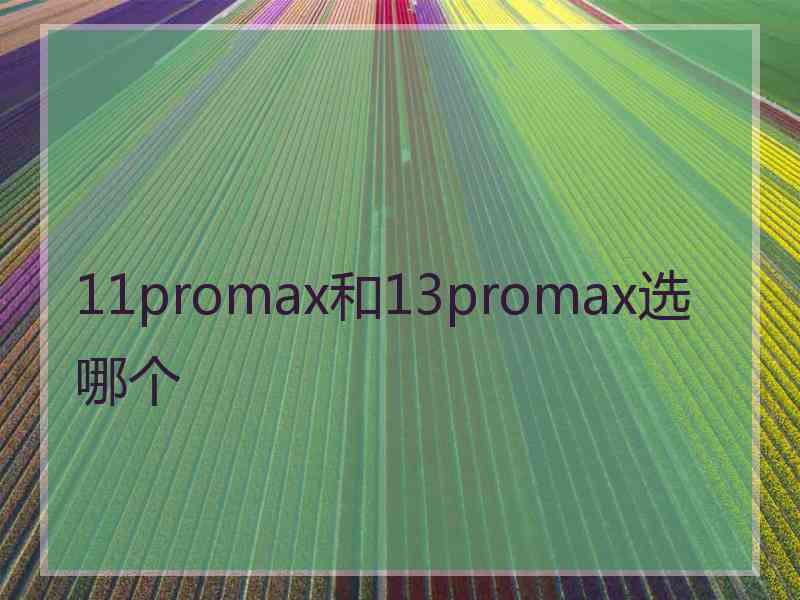 11promax和13promax选哪个