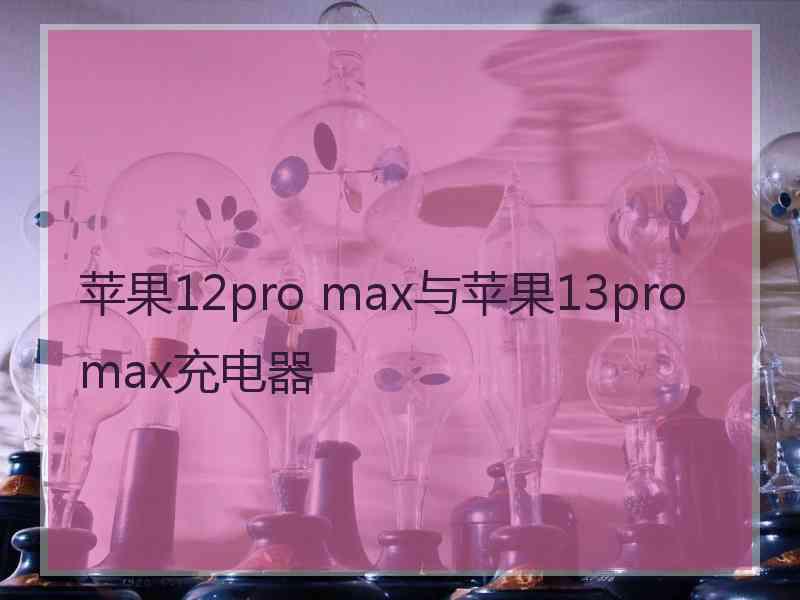 苹果12pro max与苹果13promax充电器