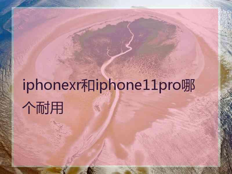 iphonexr和iphone11pro哪个耐用