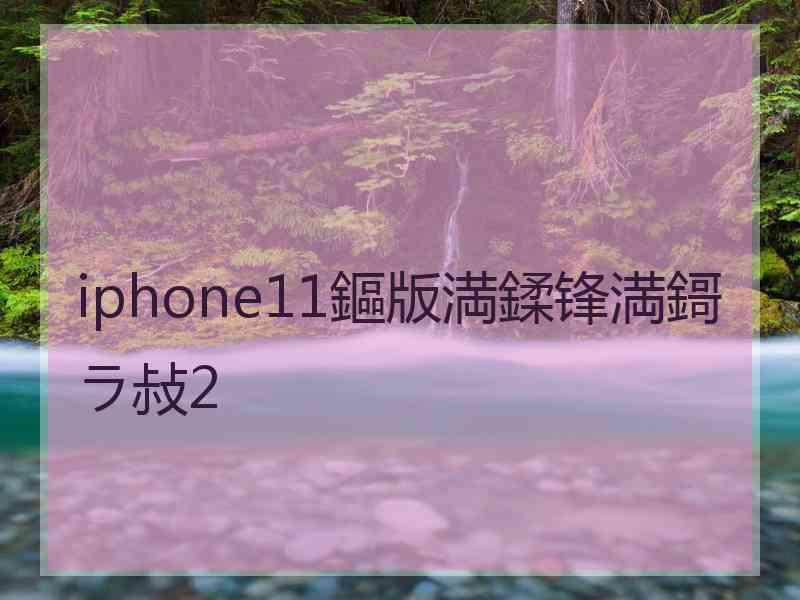 iphone11鏂版満鍒锋満鎶ラ敊2