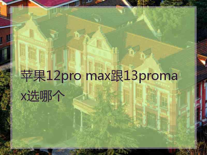 苹果12pro max跟13promax选哪个