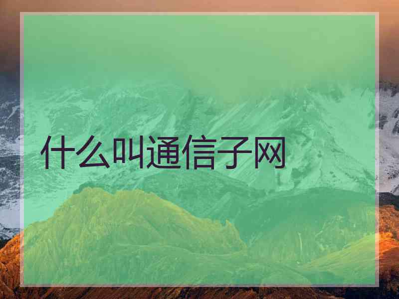 什么叫通信子网