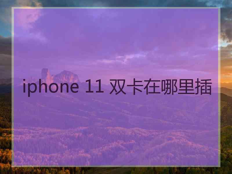 iphone 11 双卡在哪里插