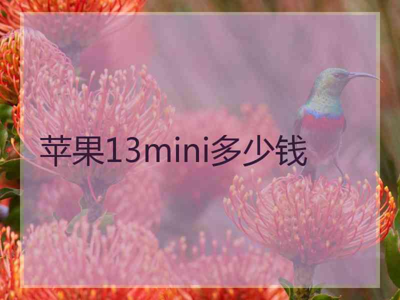 苹果13mini多少钱