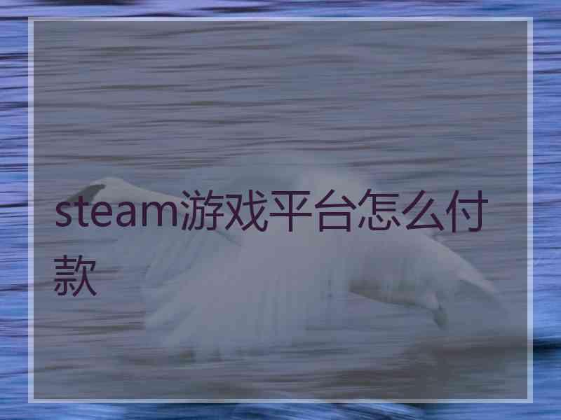 steam游戏平台怎么付款