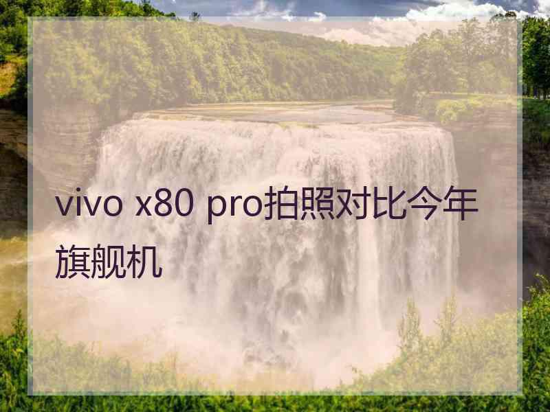 vivo x80 pro拍照对比今年旗舰机