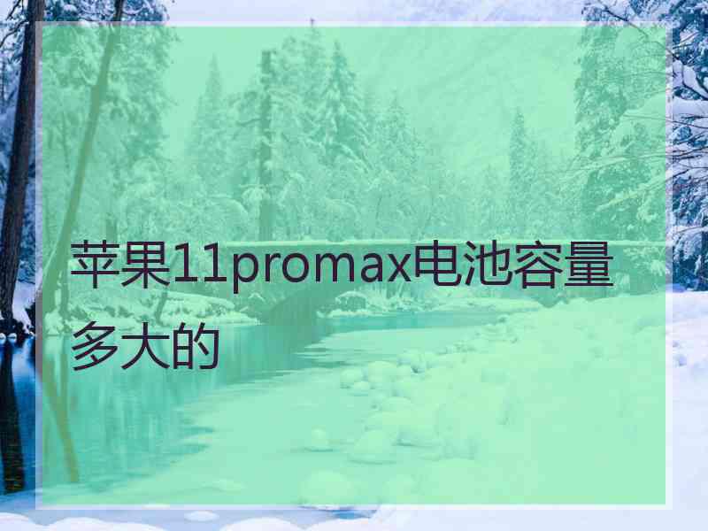 苹果11promax电池容量多大的