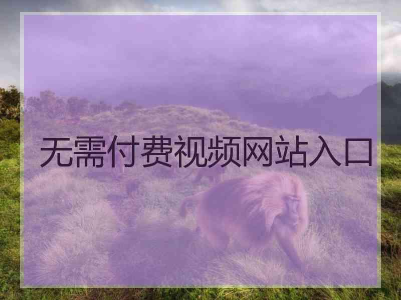 无需付费视频网站入口