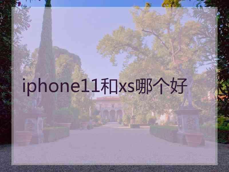 iphone11和xs哪个好