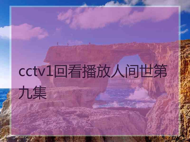 cctv1回看播放人间世第九集