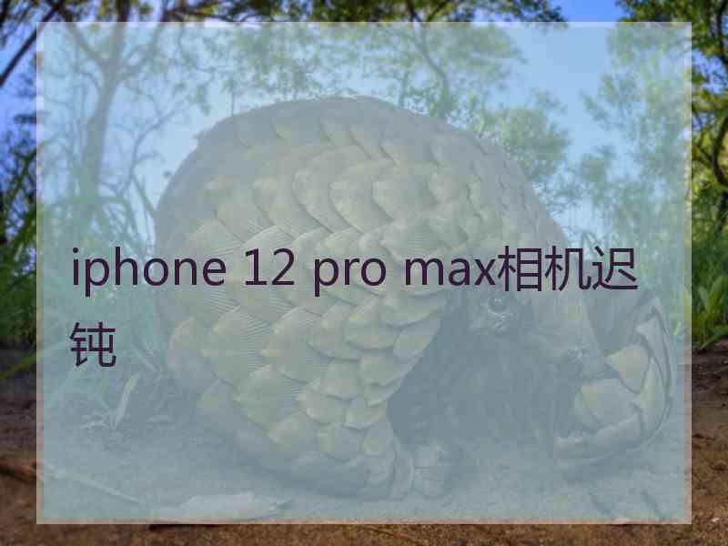 iphone 12 pro max相机迟钝