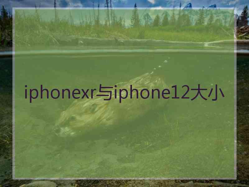 iphonexr与iphone12大小