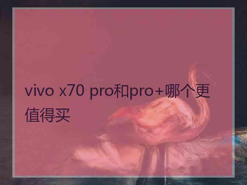 vivo x70 pro和pro+哪个更值得买