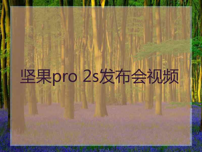 坚果pro 2s发布会视频