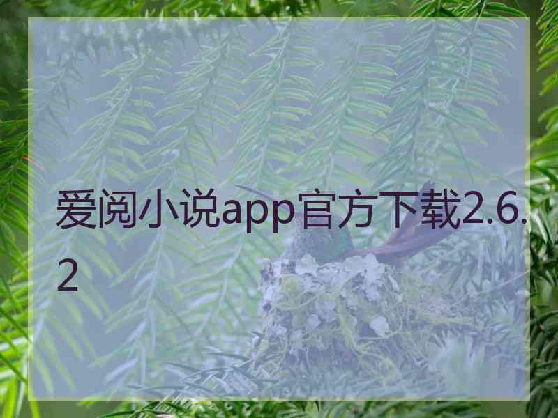 爱阅小说app官方下载2.6.2