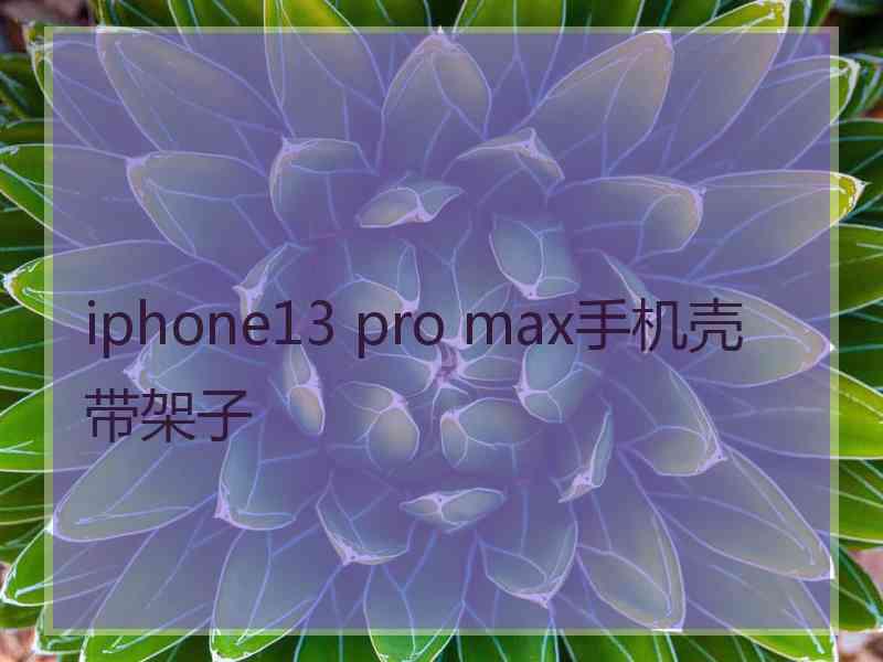 iphone13 pro max手机壳带架子