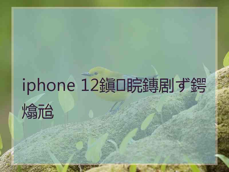 iphone 12鎭睆鏄剧ず鍔熻兘