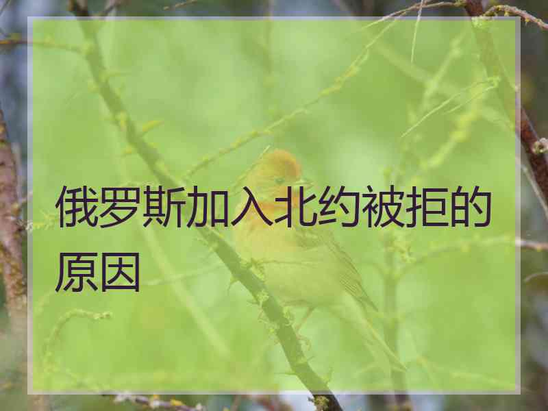 俄罗斯加入北约被拒的原因