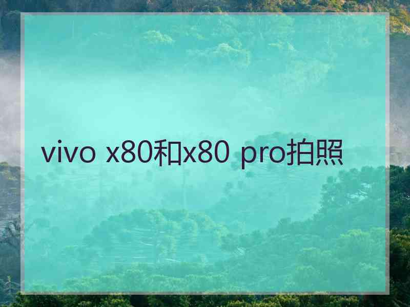 vivo x80和x80 pro拍照