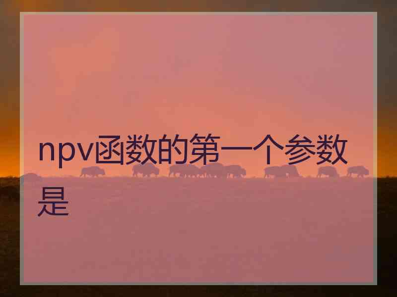 npv函数的第一个参数是