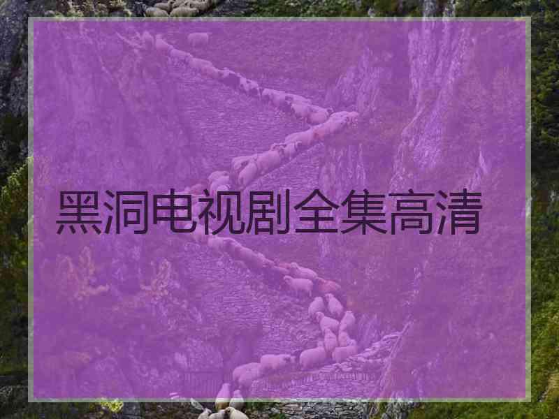 黑洞电视剧全集高清