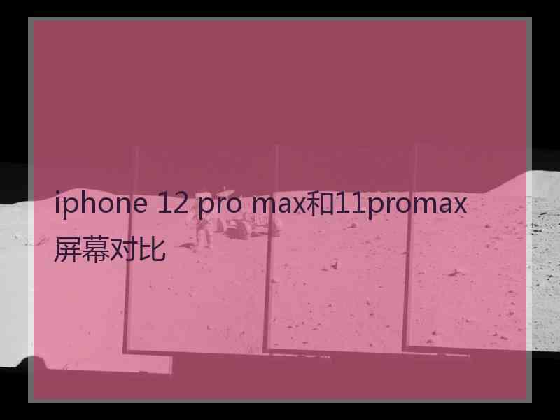 iphone 12 pro max和11promax屏幕对比