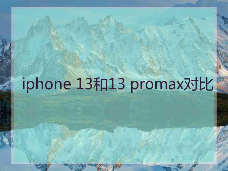 iphone 13和13 promax对比