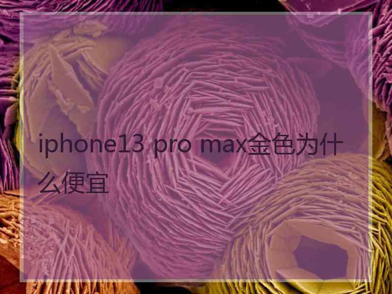 iphone13 pro max金色为什么便宜