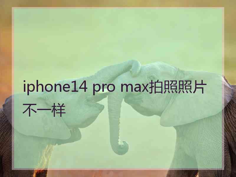 iphone14 pro max拍照照片不一样