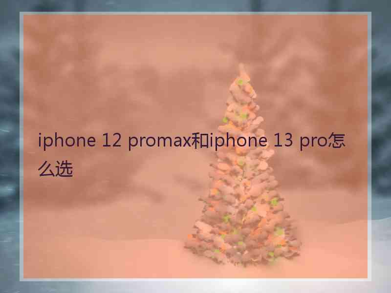 iphone 12 promax和iphone 13 pro怎么选