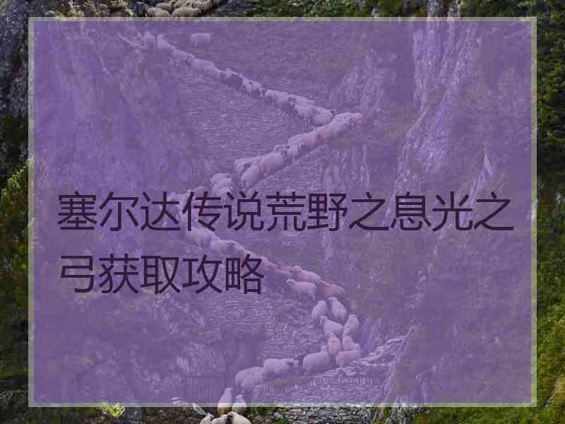 塞尔达传说荒野之息光之弓获取攻略