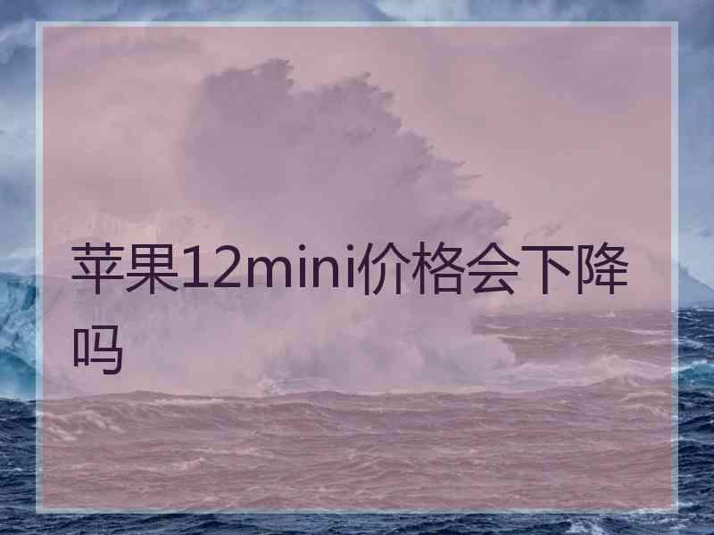 苹果12mini价格会下降吗