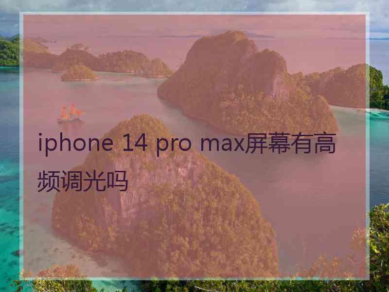 iphone 14 pro max屏幕有高频调光吗