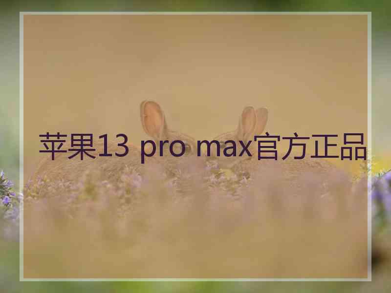 苹果13 pro max官方正品