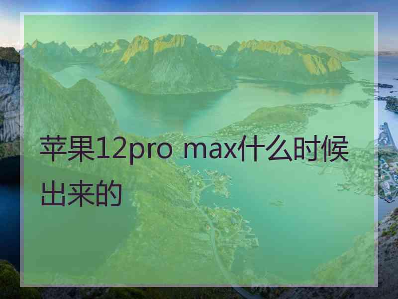 苹果12pro max什么时候出来的