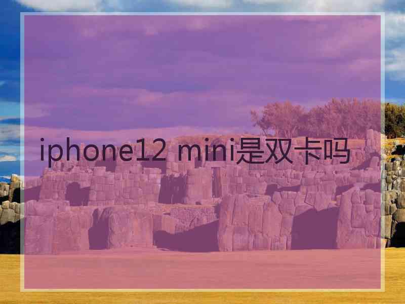 iphone12 mini是双卡吗