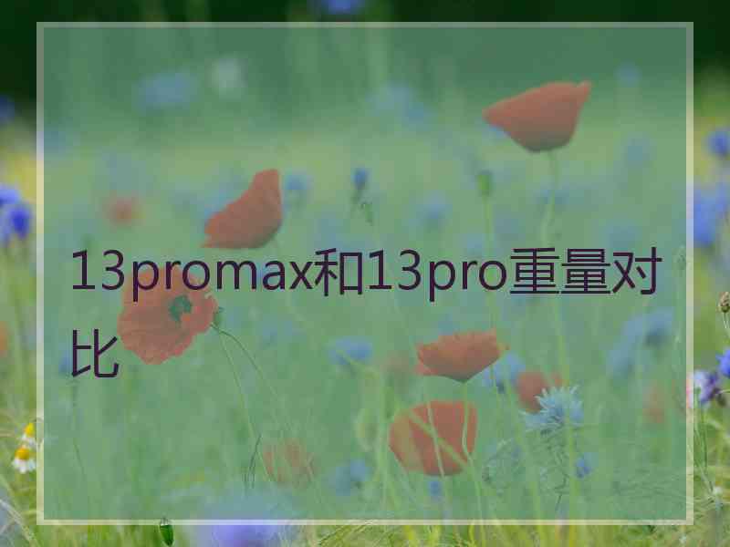 13promax和13pro重量对比